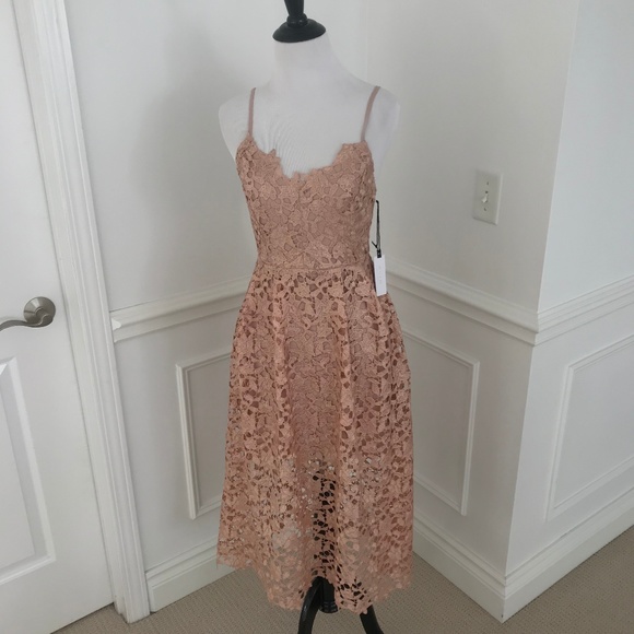 astr the label lace midi dress rose gold